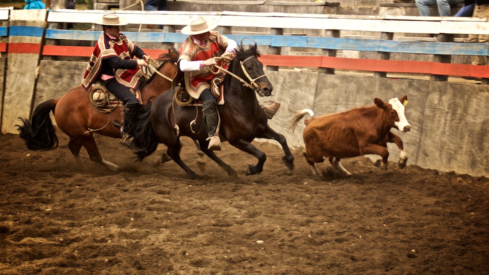 Rodeo_11__MG_6586