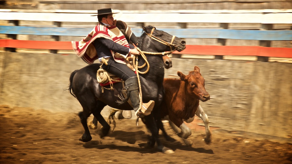Rodeo_13__MG_6653