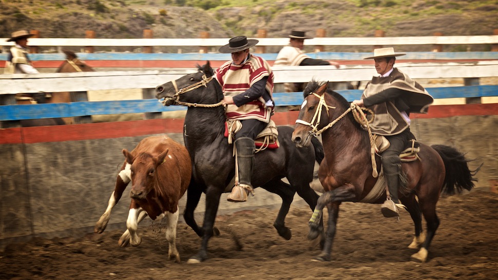 Rodeo_14__MG_6660