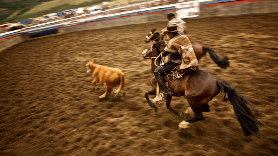 Rodeo_19__MG_6733