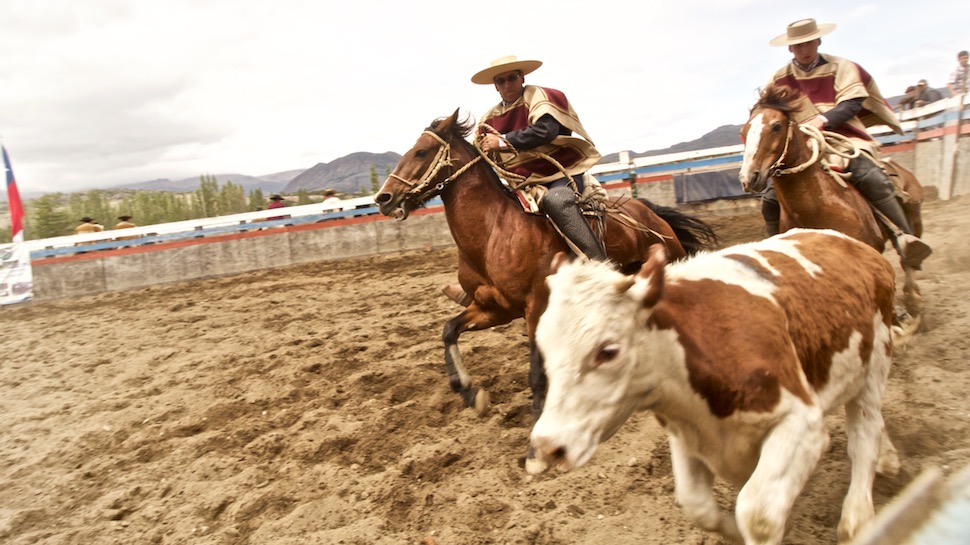 Rodeo_23__MG_6867
